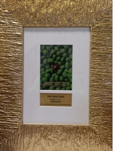 RASARA TOP GOLD AL CONCORSO MONOCULTIVAR OLIVE OIL